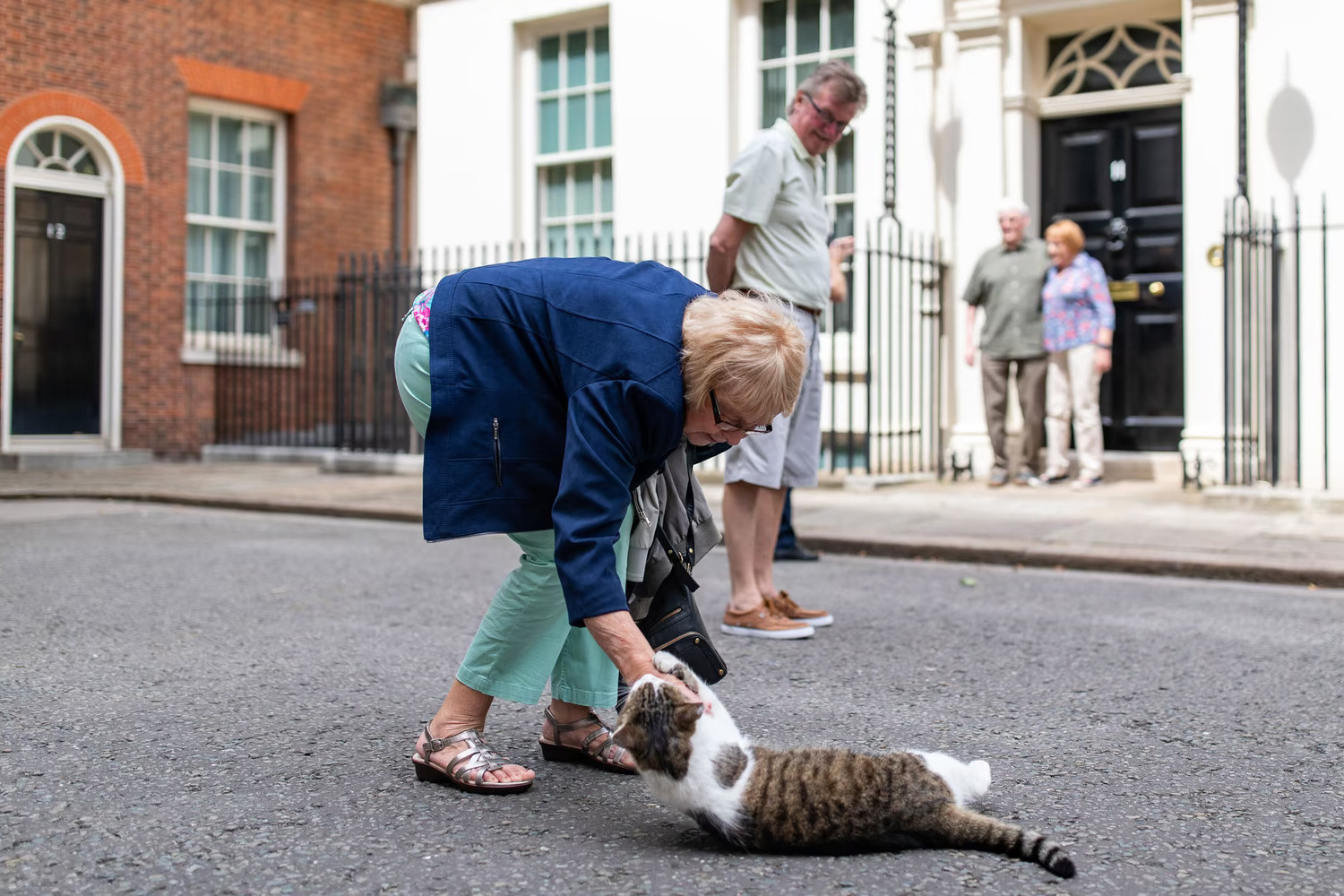12 năm vương giả của con mèo quyền lực nhất dinh thủ tướng Anh - 15