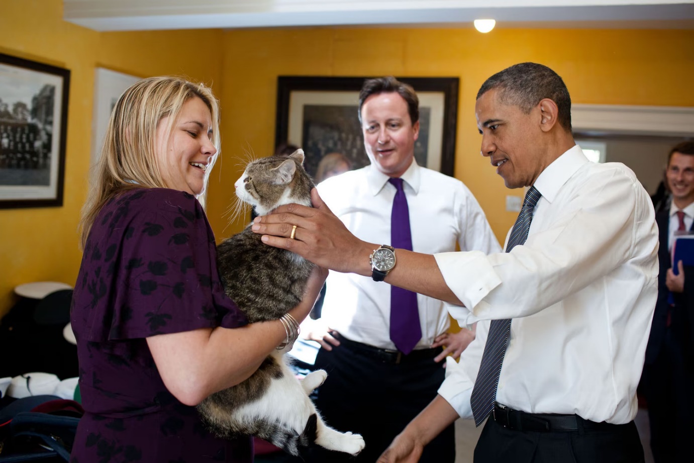 12 năm vương giả của con mèo quyền lực nhất dinh thủ tướng Anh - 2