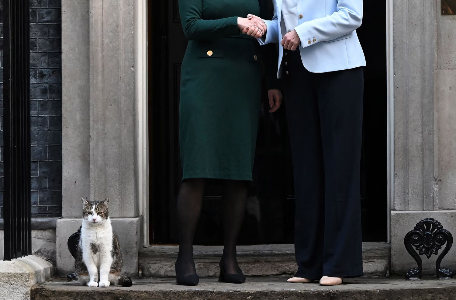 12 năm vương giả của con mèo quyền lực nhất dinh thủ tướng Anh - 16