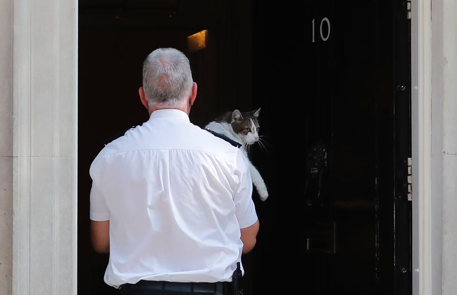 12 năm vương giả của con mèo quyền lực nhất dinh thủ tướng Anh - 18