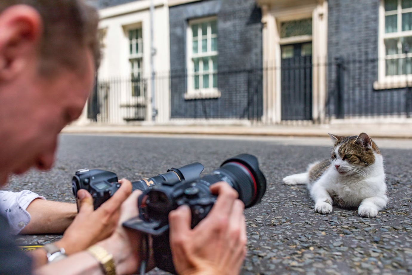 12 năm vương giả của con mèo quyền lực nhất dinh thủ tướng Anh - 3