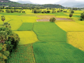 Du lịch nông nghiệp nhìn từ đồng bằng sông Cửu Long