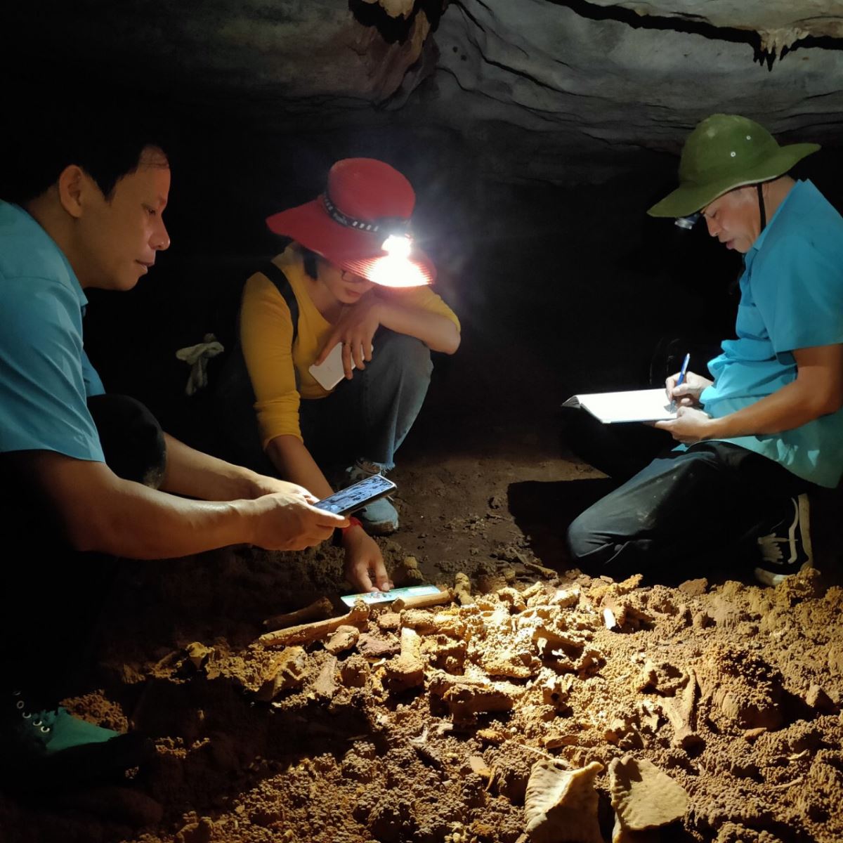 Phát hiện hóa thạch loài thú cổ trong hang động ở Vịnh Hạ Long - 2
