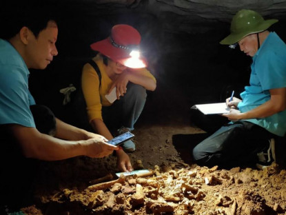 Chuyện hay - Phát hiện hóa thạch loài thú cổ trong hang động ở Vịnh Hạ Long