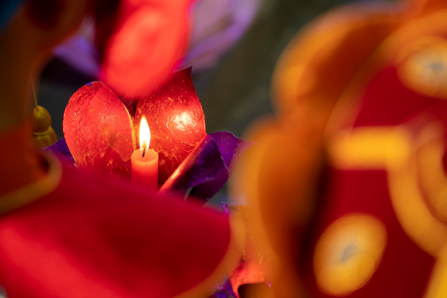 7 đóa hoa sen lung linh trên dòng Hương mùa Phật đản - 8