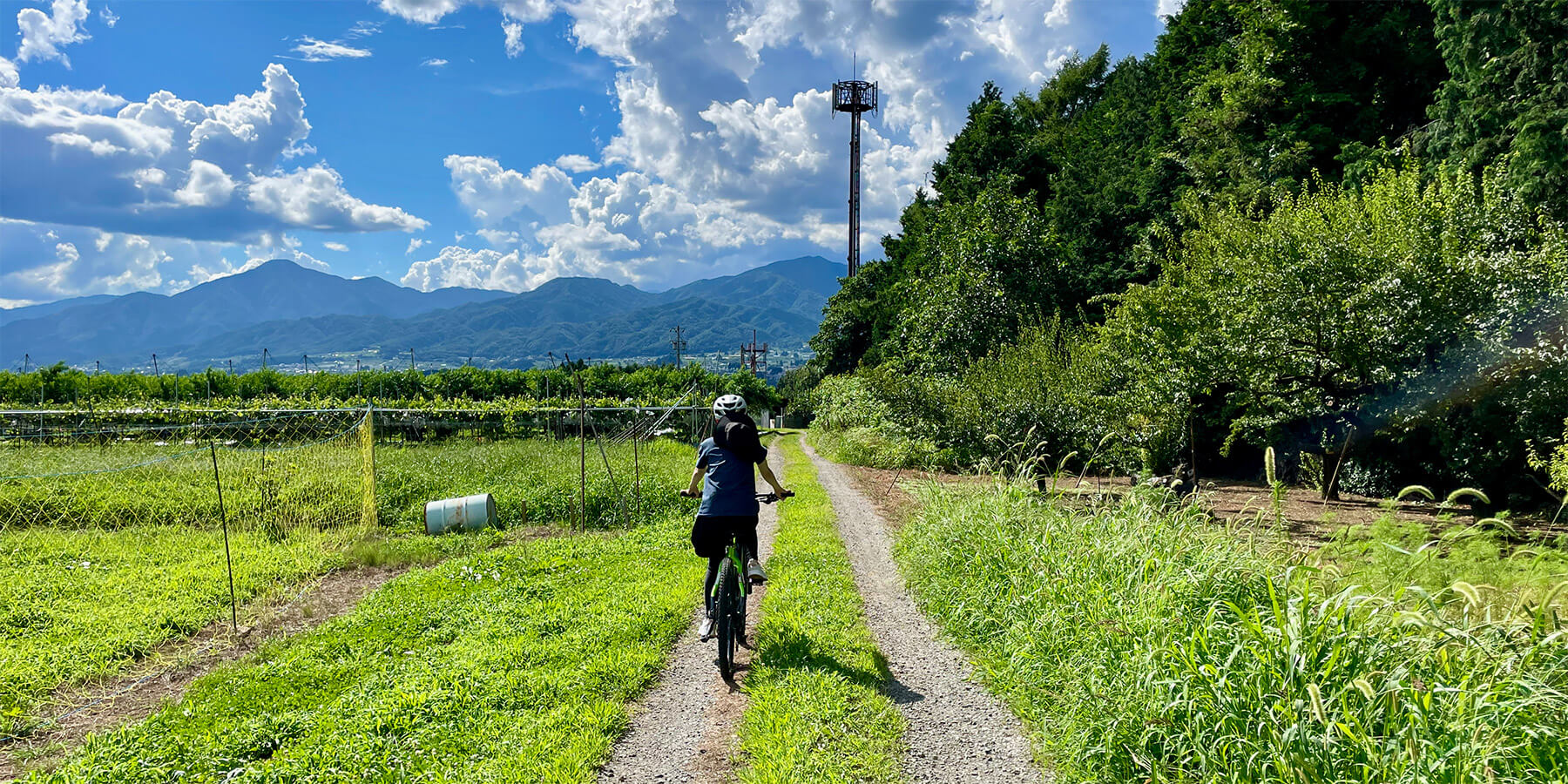 Hợp tác xã nông nghiệp làm du lịch: bài học thú vị đến từ Nhật Bản - 2