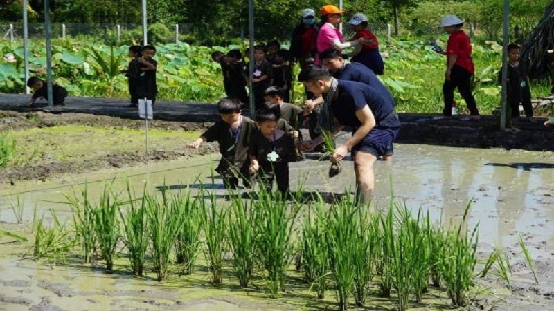 Hợp tác xã nông nghiệp làm du lịch: bài học thú vị đến từ Nhật Bản - 3