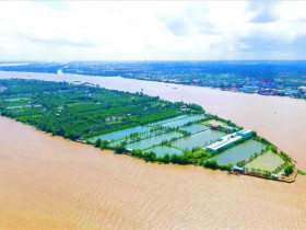  - Cồn Sơn xanh rực rỡ, vui bất tận