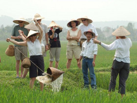  - Những thách thức đối với phát triển du lịch nông nghiệp
