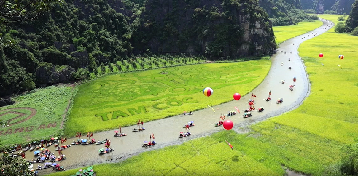 Xây dựng cánh đồng lúa đẹp nhất Việt Nam thành cánh đồng lúa nghệ thuật - 1