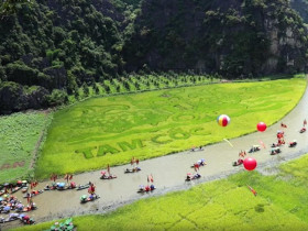 Xây dựng cánh đồng lúa đẹp nhất Việt Nam thành cánh đồng lúa nghệ thuật