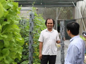 Kế hoạch đào tạo nghề nông nghiệp tập trung vào hợp tác xã và kinh tế tập thể