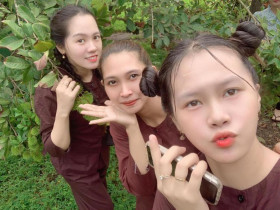  - Vào mùa trái cây, du khách nườm nượp kéo đến thử cảm giác 'hái trái trên cây ăn tại chỗ'