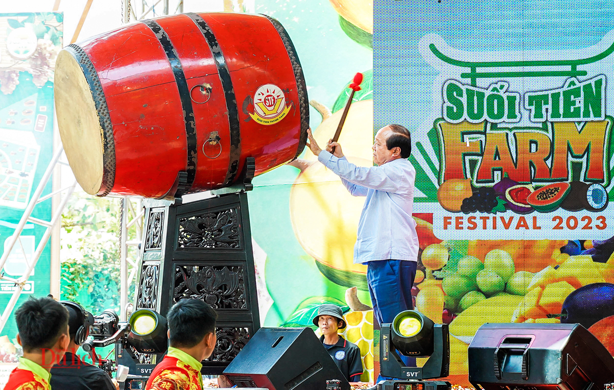 Lễ hội trái cây lớn nhất nước, có nhiều loại cao cấp, quý hiếm được trồng tại Việt Nam - 4