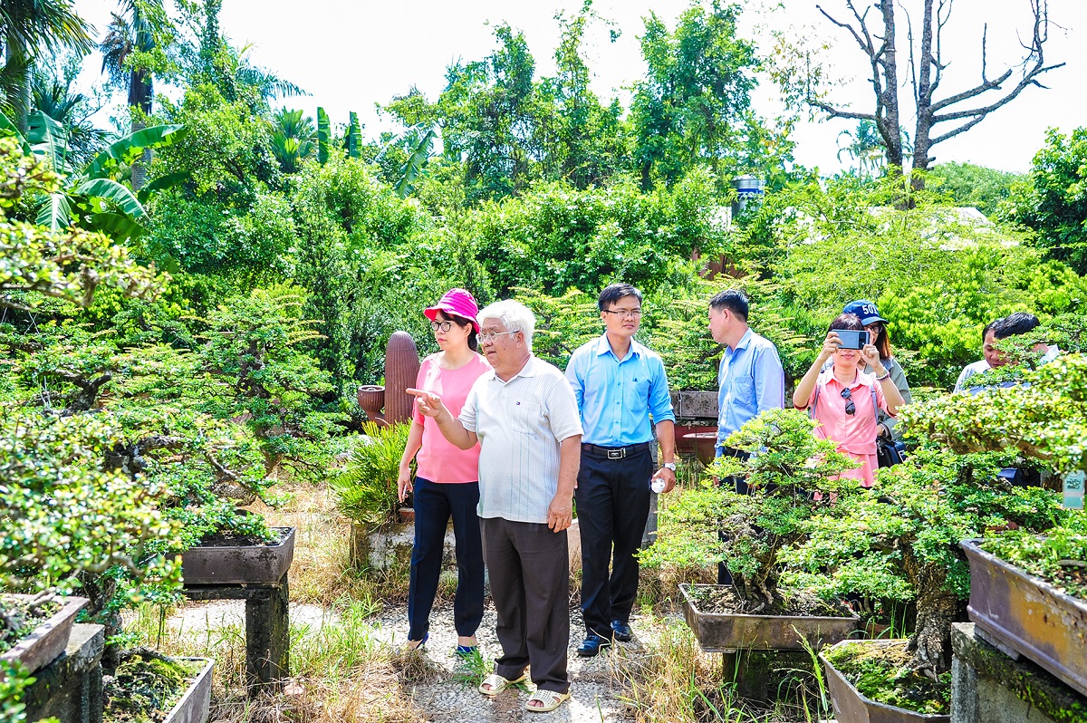 Chuyển đổi kinh tế tập thể: TP.HCM định hướng nông nghiệp đô thị, tuần hoàn và bền vững - 2