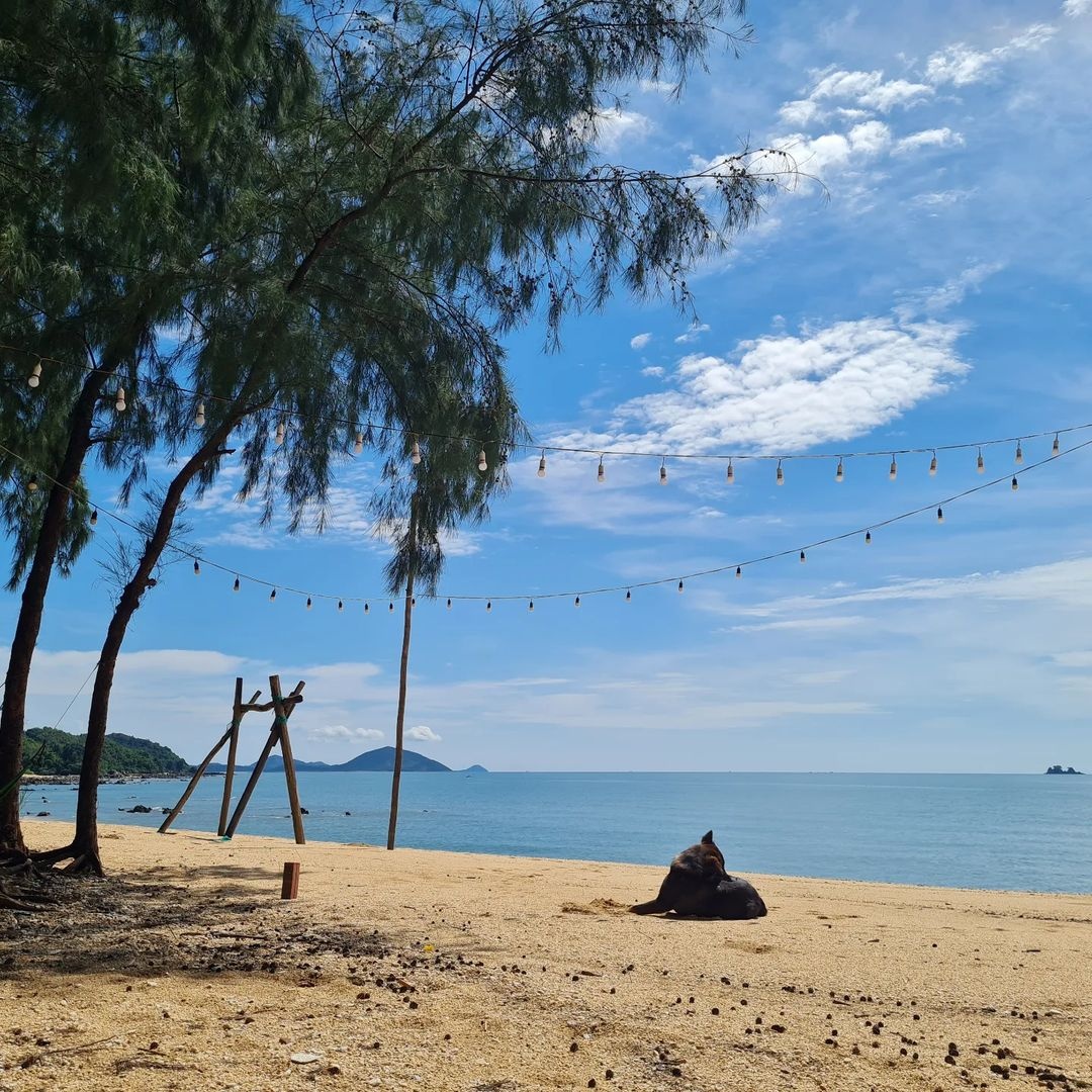 5 hòn đảo hoang sơ ở Quảng Ninh cho bạn khám phá hè này - 6
