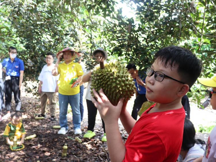 'Hoa thơm trái ngọt vùng đất thép' ở Tổ vườn trái cây xã Trung An
