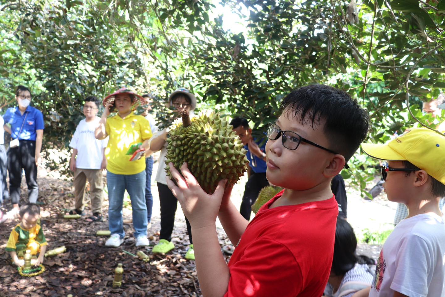 'Hoa thơm trái ngọt' ở Tổ vườn trái cây xã Trung An - 1