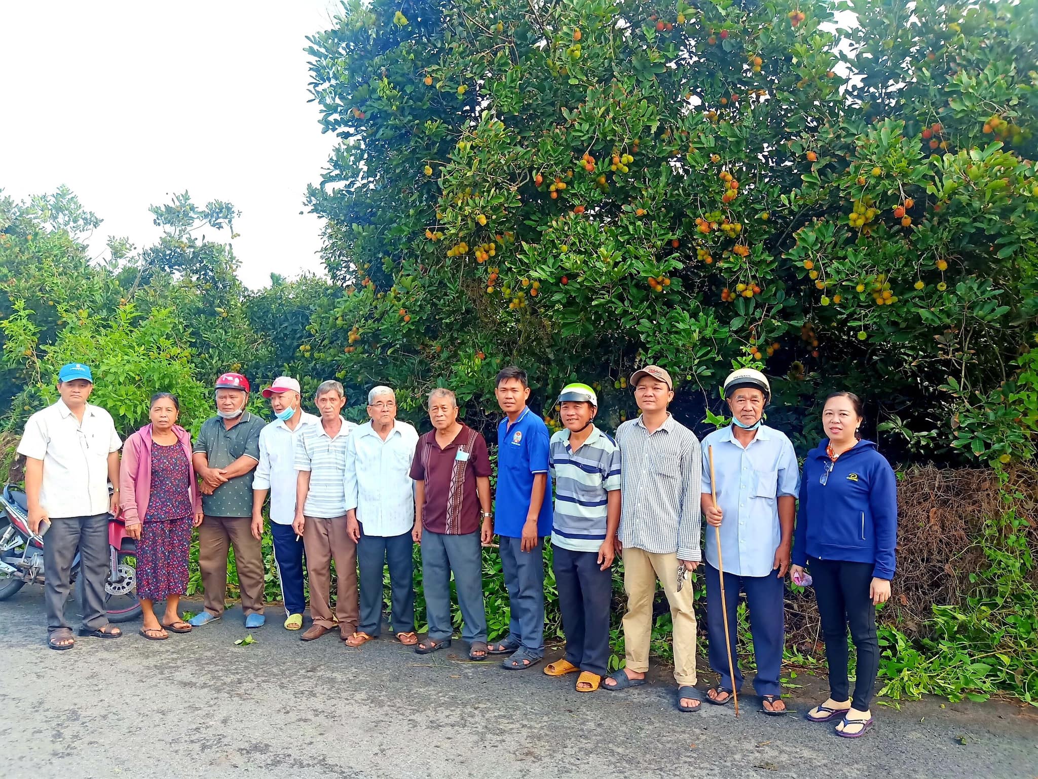 'Hoa thơm trái ngọt vùng đất thép' ở Tổ vườn trái cây xã Trung An - 3