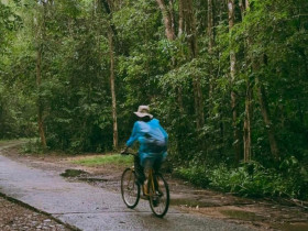  - Rời phố thị nhộn nhịp, về Nam Cát Tiên tắm mưa rừng