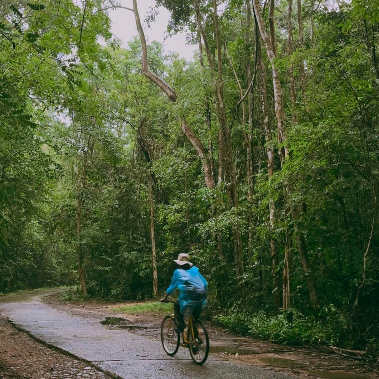 Tắm mưa ở rừng Nam Cát Tiên - 2