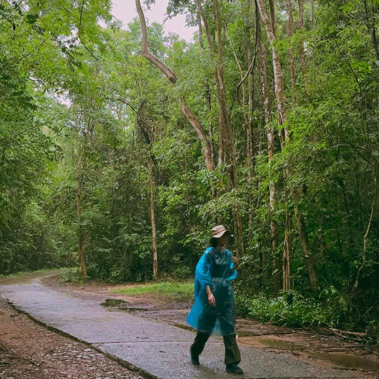 Tắm mưa ở rừng Nam Cát Tiên - 13
