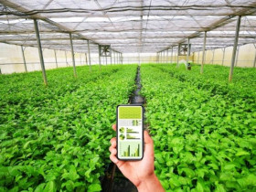  - Chuyển đổi số và tăng cường hiệu quả kinh tế hợp tác, hợp tác xã