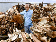 Chàng trai biến mo cau thành chén, dĩa xuất khẩu