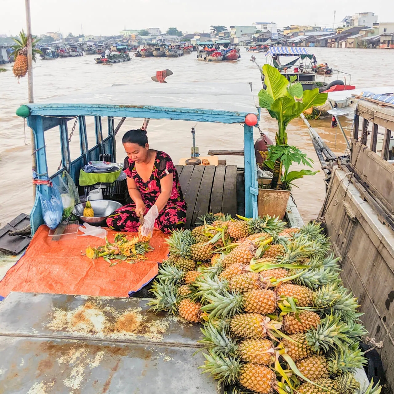 Về miền Cửu Long chín nhánh phù sa - 5