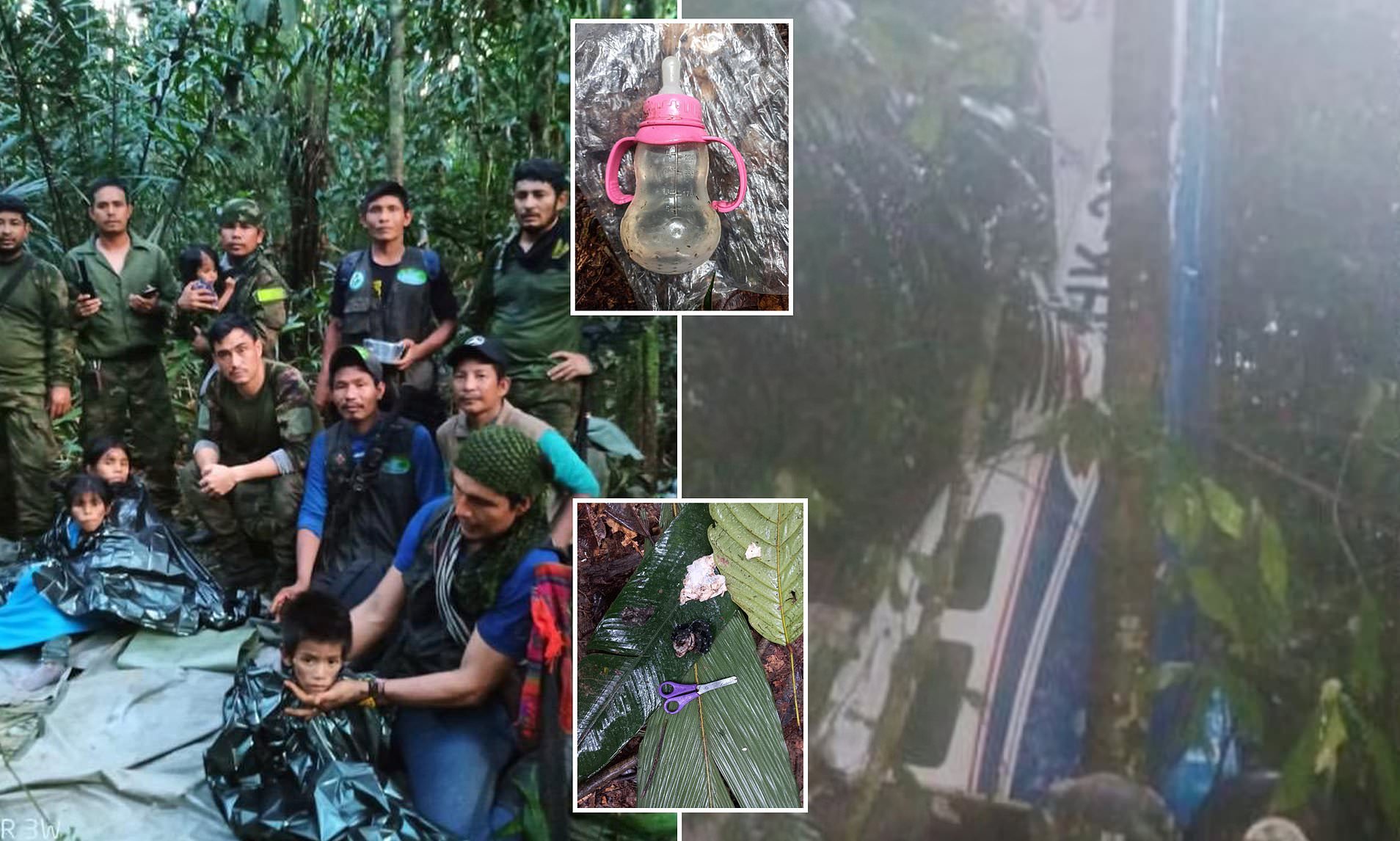 Bí quyết tồn tại trong rừng rậm hoang dã của 4 đứa trẻ trong vụ rơi máy bay ở Colombia - 3