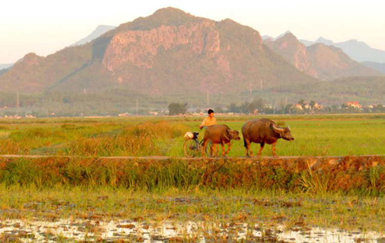 Phát triển du lịch sinh thái ở vùng đất phong lưu - 1