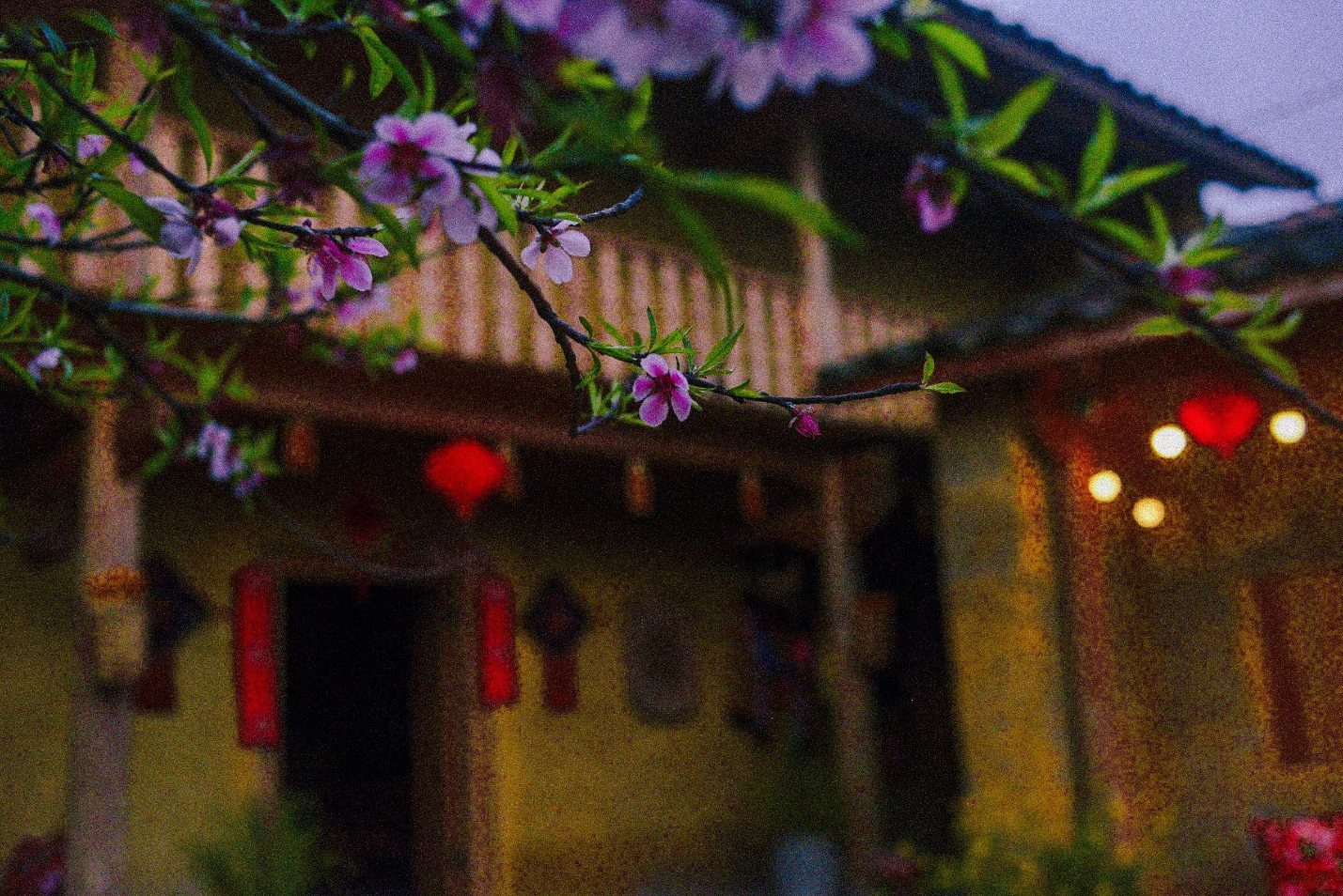 sac dao cuoi xuan o ban lo lo chai - 5