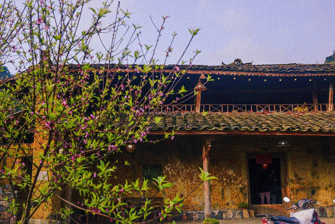 sac dao cuoi xuan o ban lo lo chai - 4