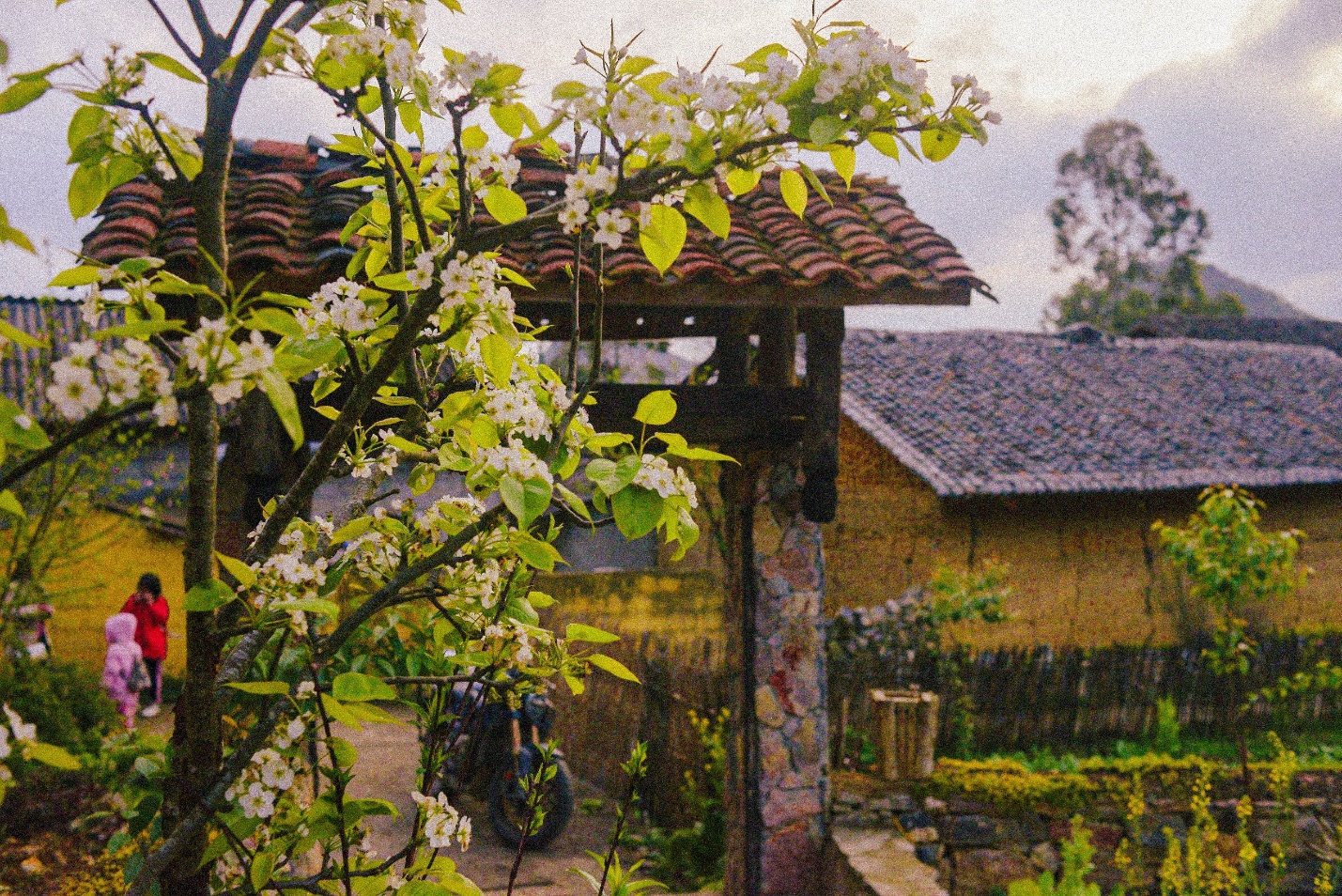 sac dao cuoi xuan o ban lo lo chai - 8