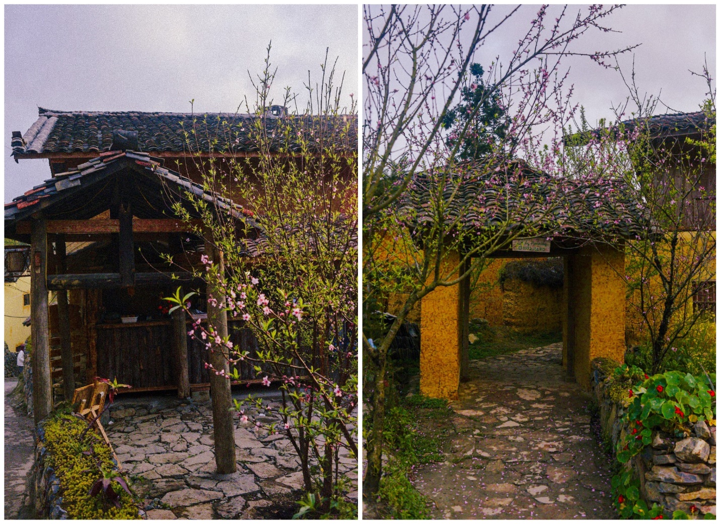 sac dao cuoi xuan o ban lo lo chai - 1