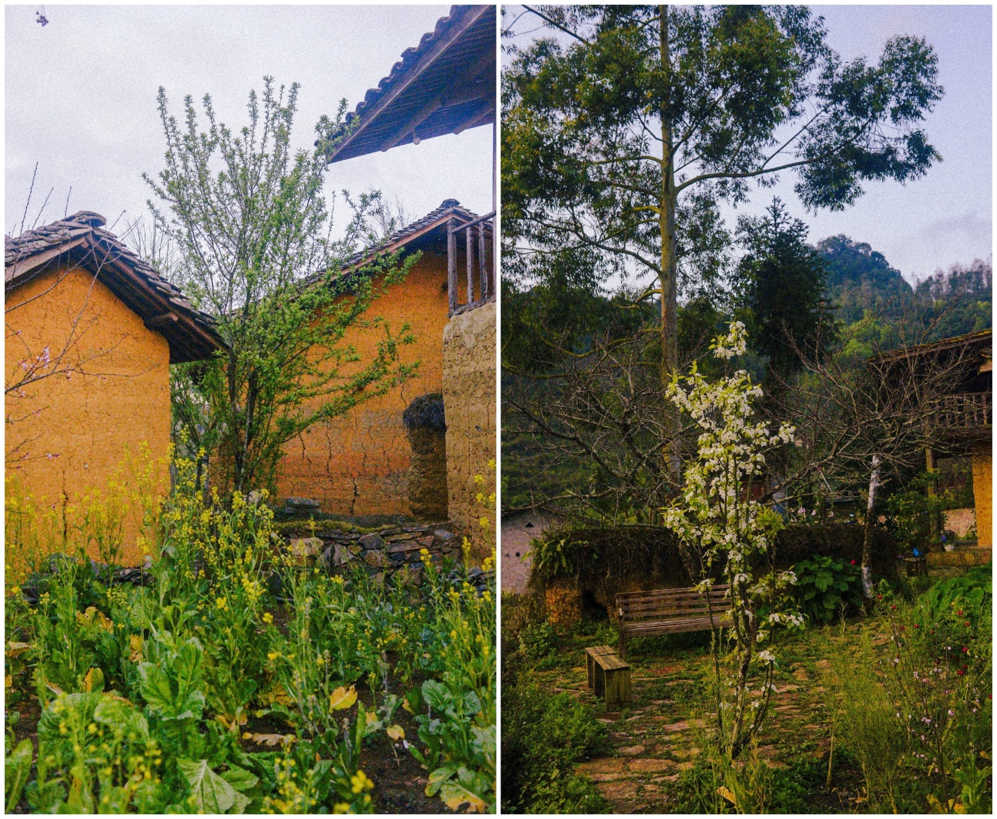 sac dao cuoi xuan o ban lo lo chai - 14