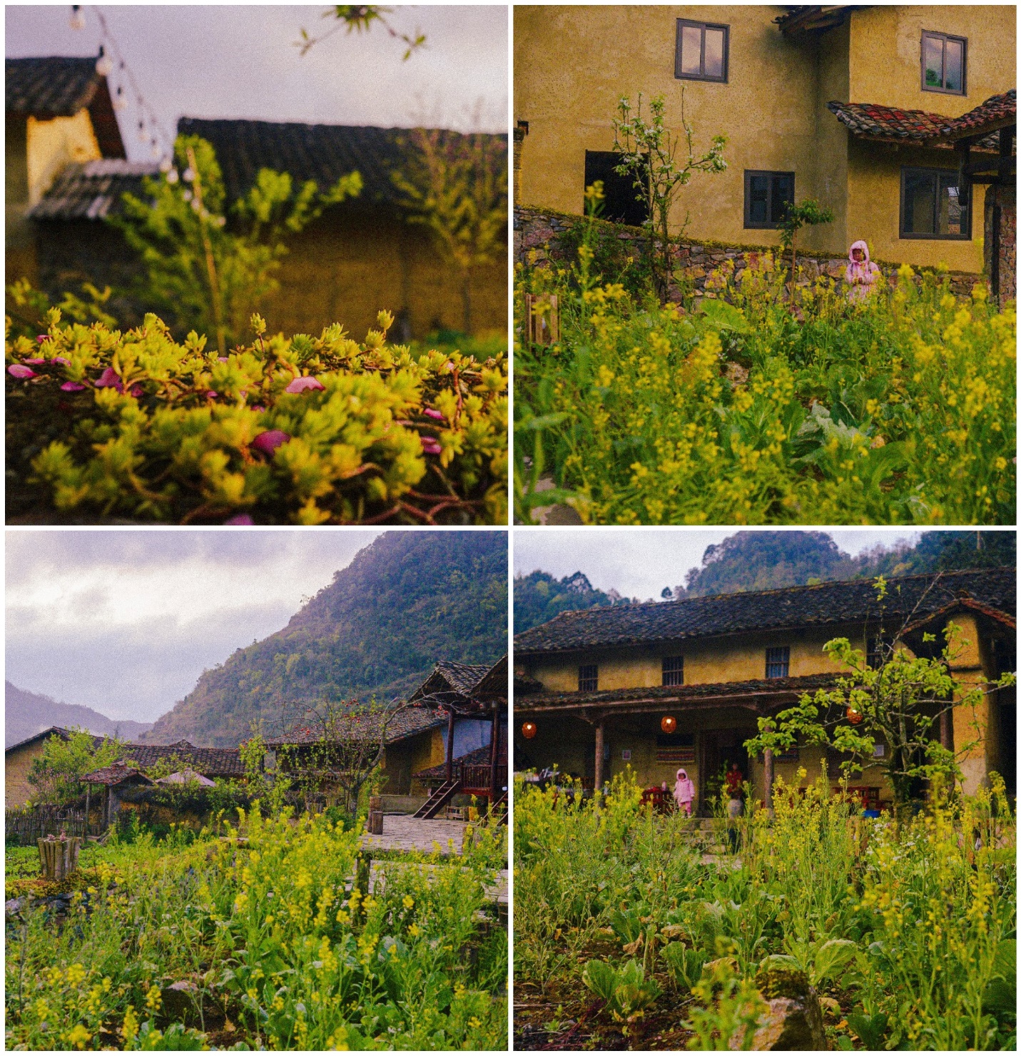 sac dao cuoi xuan o ban lo lo chai - 11
