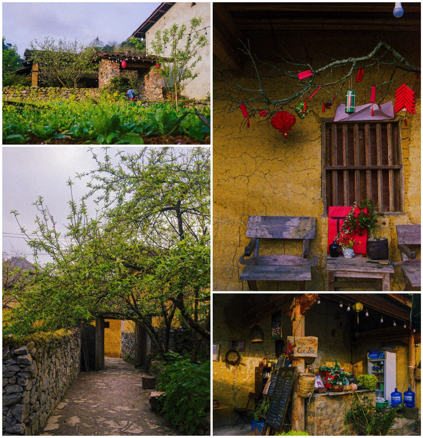 sac dao cuoi xuan o ban lo lo chai - 6