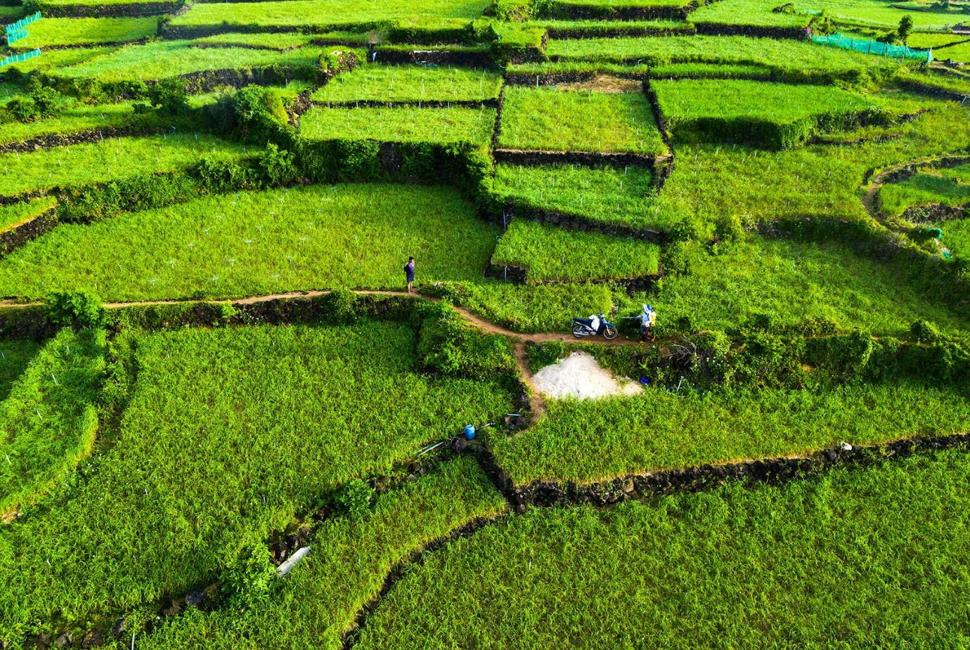 he den roi, len duong den ly son tham 'vuong quoc toi' ngay thoi - 6