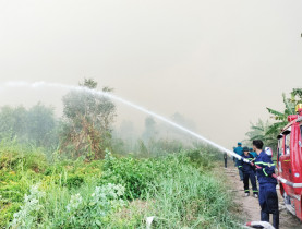 Gần 600 người chữa cháy 40 ha rừng tràm ở Cà Mau