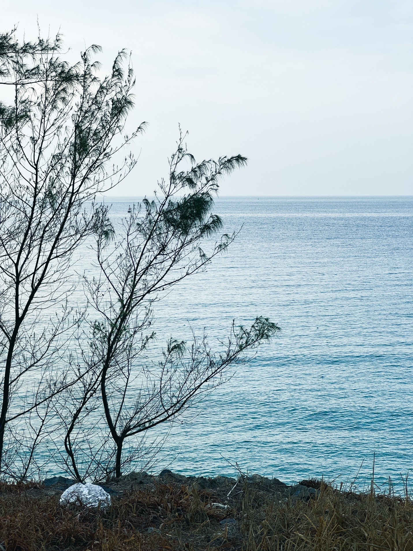 Dừng chân ở Côn Đảo, du khách ‘mê’ cách làm du lịch xanh - sạch - bền vững - 11