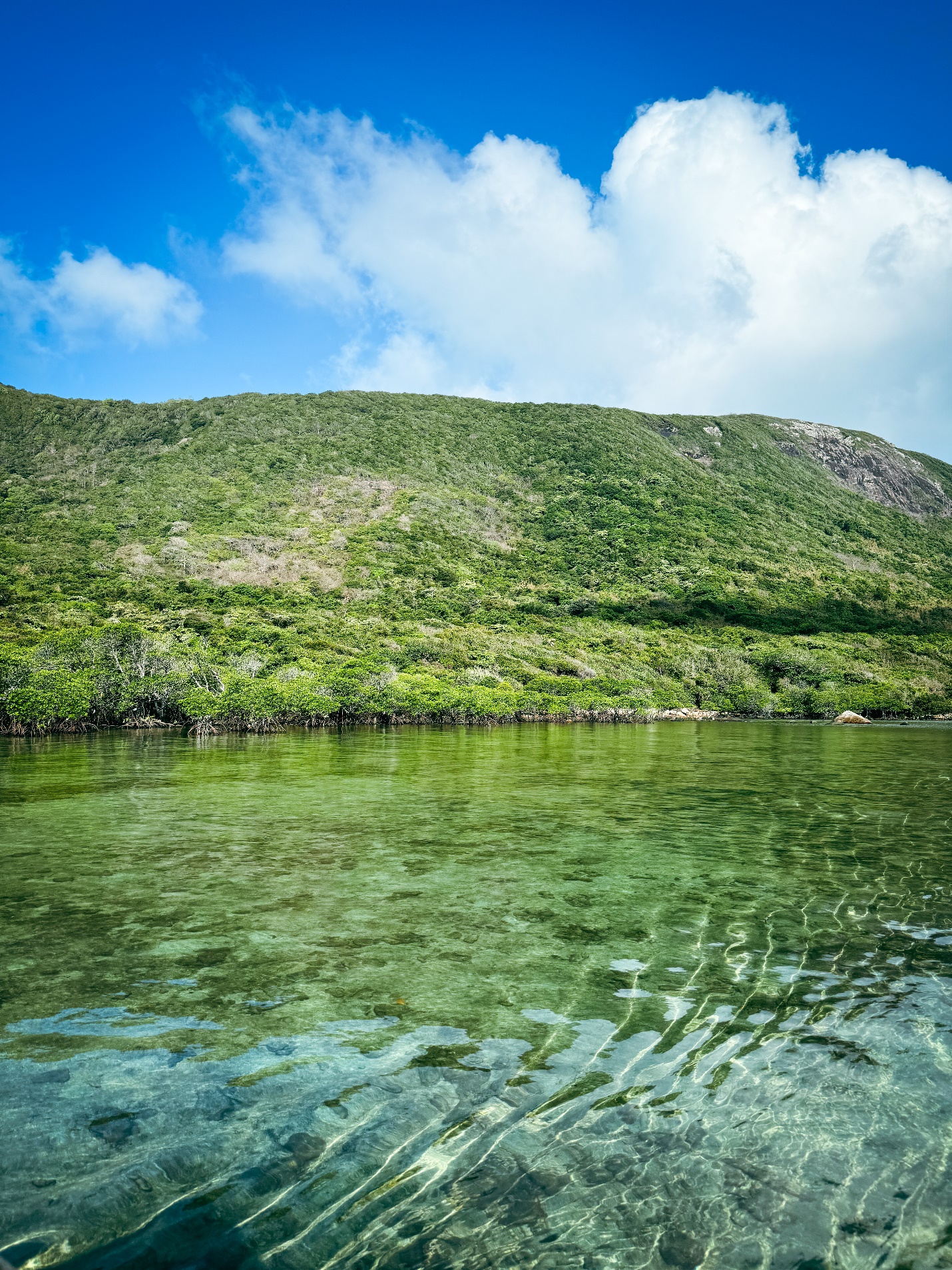 Dừng chân ở Côn Đảo, du khách ‘mê’ cách làm du lịch xanh - sạch - bền vững - 3