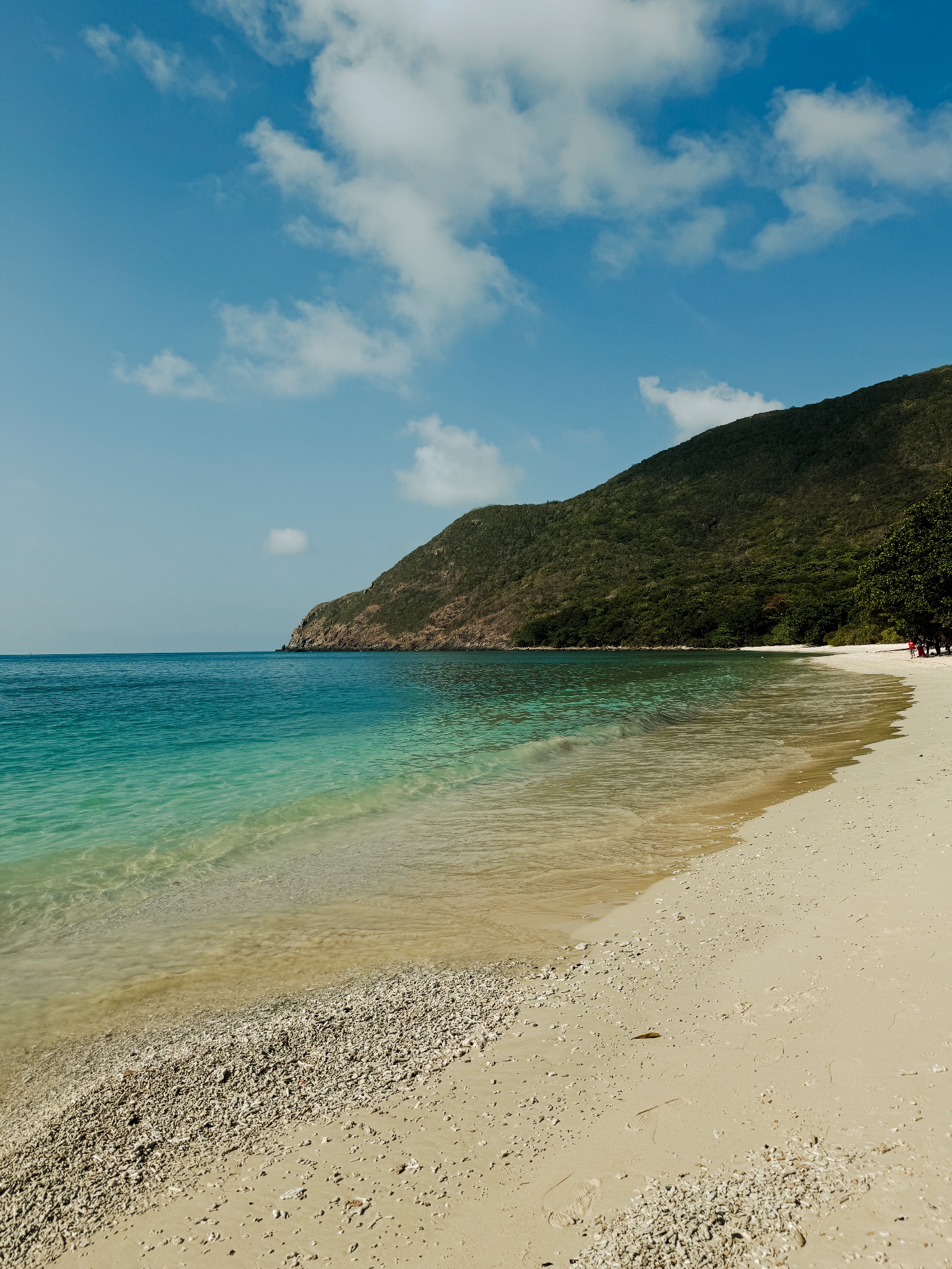 Dừng chân ở Côn Đảo, du khách ‘mê’ cách làm du lịch xanh - sạch - bền vững - 16