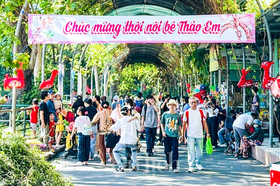 Khách đến Thảo Cầm Viên chơi lễ bất ngờ được ăn thôi nôi bé hươu cao cổ Thảo Em - 1