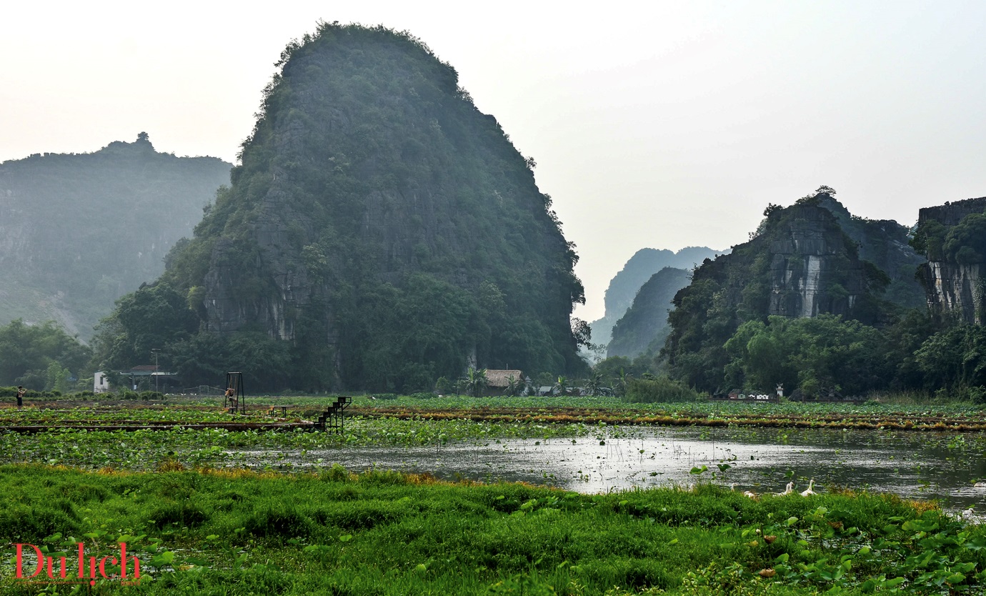 di san thien nhien hoang so, hung vi o ninh binh - 15