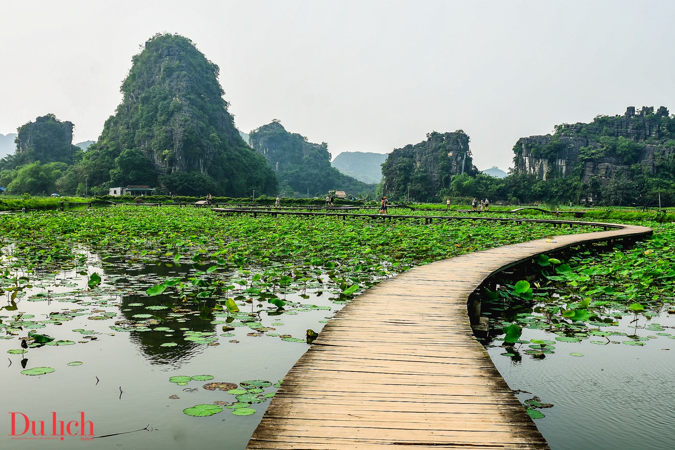 di san thien nhien hoang so, hung vi o ninh binh - 19