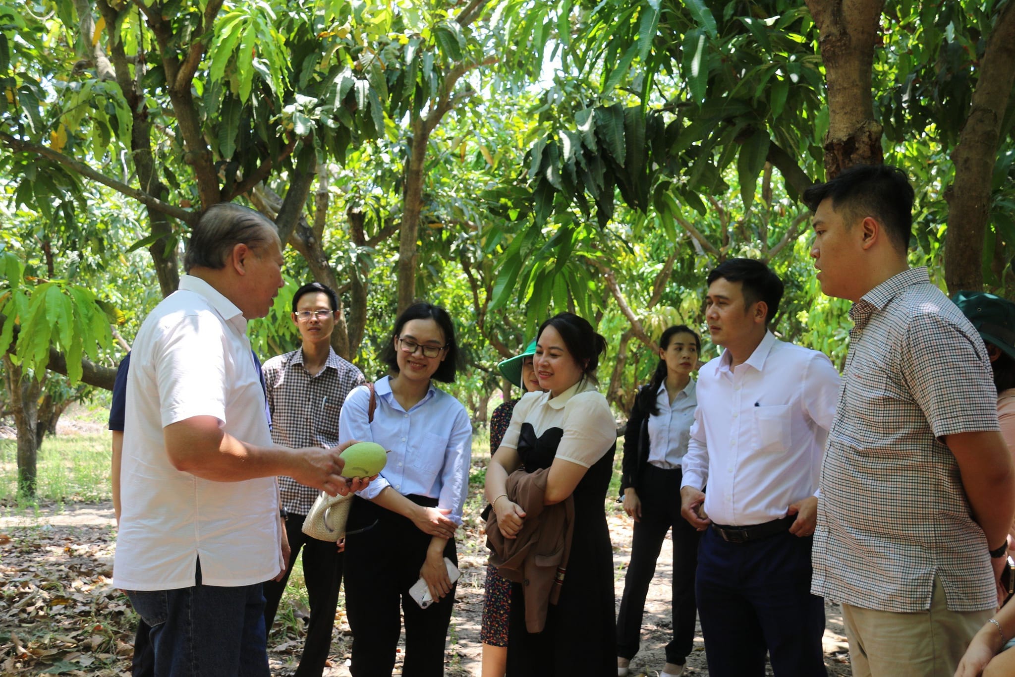 TP.HCM tìm giải pháp đưa thương hiệu xoài cát Cần Giờ gắn liền với du lịch nông thôn - 4