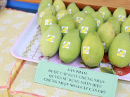 TP.HCM tìm giải pháp đưa thương hiệu xoài cát Cần Giờ gắn liền với du lịch nông thôn