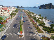 Chuyển động - Quảng Ninh rà soát các dự án trồng cây xanh theo yêu cầu của Bộ Công an
