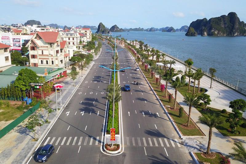 Quảng Ninh rà soát các dự án trồng cây xanh theo yêu cầu của Bộ Công an - 1